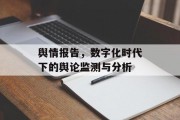 舆情报告，数字化时代下的舆论监测与分析