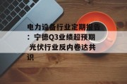 电力设备行业定期报告:宁德Q3业绩超预期 光伏行业反内卷达共识 电力设备行业定期报告:宁德Q3业绩超预期 光伏行业反内卷达共识