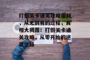 打假关卡通关攻略视频，从无到有的过程，真相大揭露！打假关卡通关攻略，从零开始的逆袭之路