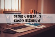 SEO优化哪里好,SEO优化哪家机构好 SEO优化哪里好,SEO优化哪家机构好