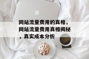 网站流量费用的真相,网站流量费用真相揭秘,真实成本分析 网站流量费用的真相,网站流量费用真相揭秘,真实成本分析