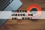 Didi通关攻略,Didi通关攻略,攻略全解!,就足够了。