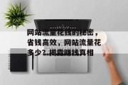 网站流量花钱的秘密,省钱高效,网站流量花多少?揭露赚钱真相 网站流量花钱的秘密,省钱高效,网站流量花多少?揭露赚钱真相