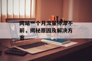 网站一个月流量停滞不前,揭秘原因及解决方案 网站一个月流量停滞不前,揭秘原因及解决方案
