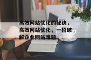 高效网站优化的秘诀,高效网站优化,一招破解企业网站难题 高效网站优化的秘诀,高效网站优化,一招破解企业网站难题