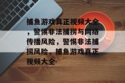 捕鱼游戏真正视频大全，警惕非法捕捞与网络传播风险，警惕非法捕捞风险，捕鱼游戏真正视频大全
