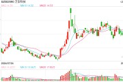 万安科技拟1.33亿元溢价收购关联企业 标的公司年内亏损约2676万元 万安科技拟1.33亿元溢价收购关联企业 标的公司年内亏损约2676万元