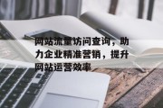 网站流量访问查询,助力企业精准营销,提升网站运营效率 网站流量访问查询,助力企业精准营销,提升网站运营效率