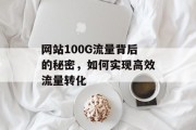 网站100G流量背后的秘密,如何实现高效流量转化 网站100G流量背后的秘密,如何实现高效流量转化