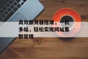 高效服务器搭建,一机多站,轻松实现网站集群管理 高效服务器搭建,一机多站,轻松实现网站集群管理