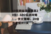 60天网站流量提高20倍!SEO实战攻略!,优化策略,20倍流量提升1天