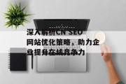 深入解析CN SEO网站优化策略,助力企业提升在线竞争力 深入解析CN SEO网站优化策略,助力企业提升在线竞争力