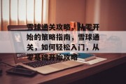 雪球通关攻略,从零开始的策略指南,雪球通关,如何轻松入门,从零基础开始攻略 雪球通关攻略,从零开始的策略指南,雪球通关,如何轻松入门,从零基础开始攻略