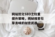 网站优化SEO之权重提升策略,揭秘搜索引擎青睐的秘密武器 网站优化SEO之权重提升策略,揭秘搜索引擎青睐的秘密武器