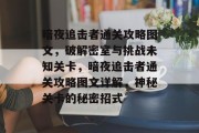 暗夜追击者通关攻略图文，破解密室与挑战未知关卡，暗夜追击者通关攻略图文详解，神秘关卡的秘密招式
