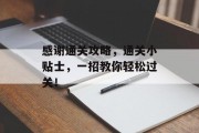 感谢通关攻略,通关小贴士,一招教你轻松过关!
