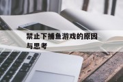 禁止下捕鱼游戏的原因与思考