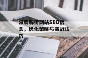 深度解析网站SEO信息,优化策略与实战技巧 深度解析网站SEO信息,优化策略与实战技巧