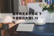 盛丰物流盘中异动 下午盘股价大涨5.78% 盛丰物流盘中异动 下午盘股价大涨5.78%