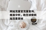 网站流量宝流量查询,精准分析,助您洞察网站流量奥秘 网站流量宝流量查询,精准分析,助您洞察网站流量奥秘