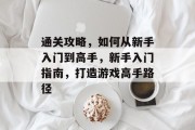 通关攻略,如何从新手入门到高手,新手入门指南,打造游戏高手路径