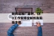 新网站推广案例,SEO工作安排全解析及实操步骤 新网站推广案例,SEO工作安排全解析及实操步骤