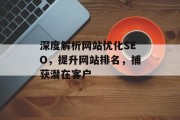 深度解析网站优化SEO，提升网站排名，捕获潜在客户