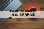 深入解析统计网站流量,方法、工具与优化策略 深入解析统计网站流量,方法、工具与优化策略