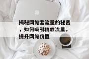 揭秘网站套流量的秘密,如何吸引精准流量,提升网站价值 揭秘网站套流量的秘密,如何吸引精准流量,提升网站价值