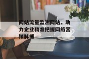 网站流量监测网站，助力企业精准把握网络营销脉搏