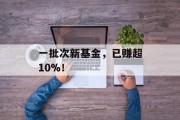 一批次新基金,已赚超10%! 一批次新基金,已赚超10%!