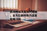 武汉网站流量提升策略,全方位解析助力企业在线飞跃 武汉网站流量提升策略,全方位解析助力企业在线飞跃