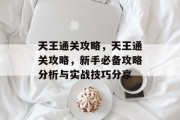 天王通关攻略,天王通关攻略,新手必备攻略分析与实战技巧分享