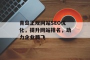 青岛正规网站SEO优化，提升网站排名，助力企业腾飞