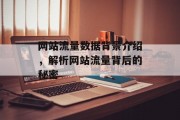 网站流量数据背景介绍,解析网站流量背后的秘密 网站流量数据背景介绍,解析网站流量背后的秘密