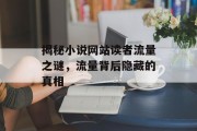 揭秘小说网站读者流量之谜,流量背后隐藏的真相 揭秘小说网站读者流量之谜,流量背后隐藏的真相