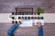 唐县网站SEO优化策略,助力企业提升在线竞争力 唐县网站SEO优化策略,助力企业提升在线竞争力