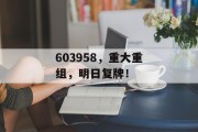 603958,重大重组,明日复牌! 603958,重大重组,明日复牌!