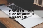 网站流量项目,揭秘如何通过有效策略提升网站流量与转化率 网站流量项目,揭秘如何通过有效策略提升网站流量与转化率