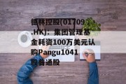德林控股(01709.HK)：集团管理基金耗资100万美元认购Pangu1041股普通股