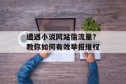 遭遇小说网站偷流量？教你如何有效举报维权