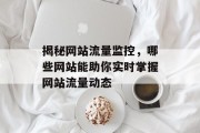 揭秘网站流量监控,哪些网站能助你实时掌握网站流量动态 揭秘网站流量监控,哪些网站能助你实时掌握网站流量动态
