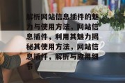解析网站信息插件的魅力与使用方法,网站信息插件,利用其魅力揭秘其使用方法,网站信息插件,解析与应用细节 解析网站信息插件的魅力与使用方法,网站信息插件,利用其魅力揭秘其使用方法,网站信息插件,解析与应用细节