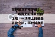 哪种捕鱼游戏好玩？——一场海上的捕鱼冒险之旅，一场海上的捕鱼冒险之旅，哪种捕鱼游戏好玩？