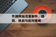 外国网站流量解析,趋势、挑战与应对策略 外国网站流量解析,趋势、挑战与应对策略