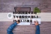 BOS科技盘中异动 下午盘股价大涨5.33%报3.15美元 BOS科技盘中异动 下午盘股价大涨5.33%报3.15美元