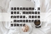 流量奇兵网站揭秘,流量奇兵,揭秘网络霸主的秘密渠道,流量巨兽,揭秘网络霸主的非线性获取方式 流量奇兵网站揭秘,流量奇兵,揭秘网络霸主的秘密渠道,流量巨兽,揭秘网络霸主的非线性获取方式