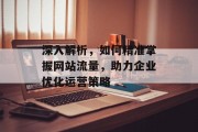 深入解析,如何精准掌握网站流量,助力企业优化运营策略 深入解析,如何精准掌握网站流量,助力企业优化运营策略