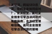 关键词,网站SEO违法,你的企业如何应对?,合法经营,面对企业搜索引擎违法问题的策略指南,合法经营策略指南,面对企业搜索引擎违法问题的策略 关键词,网站SEO违法,你的企业如何应对?,合法经营,面对企业搜索引擎违法问题的策略指南,合法经营策略指南,面对企业搜索引擎违法问题的策略