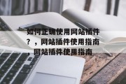 如何正确使用网站插件?,网站插件使用指南,网站插件使用指南 如何正确使用网站插件?,网站插件使用指南,网站插件使用指南